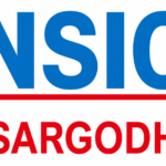 Nawaz Sharif Institute of Cardiology (NSIC)