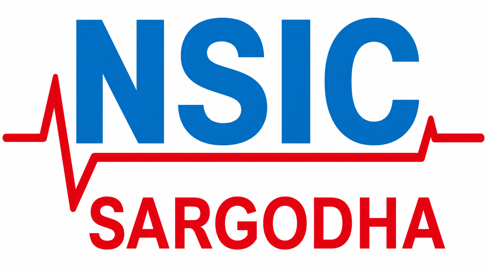 NSIC Jobs in Sargodha June
